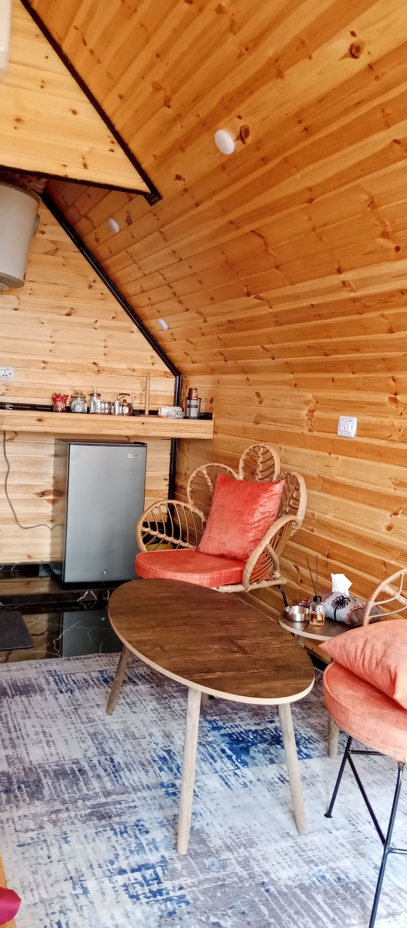 Mini-fridge, stovetop, eco-friendly cleaning products, paper towels