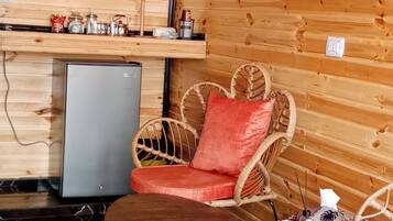 Mini-fridge, stovetop, eco-friendly cleaning products, paper towels