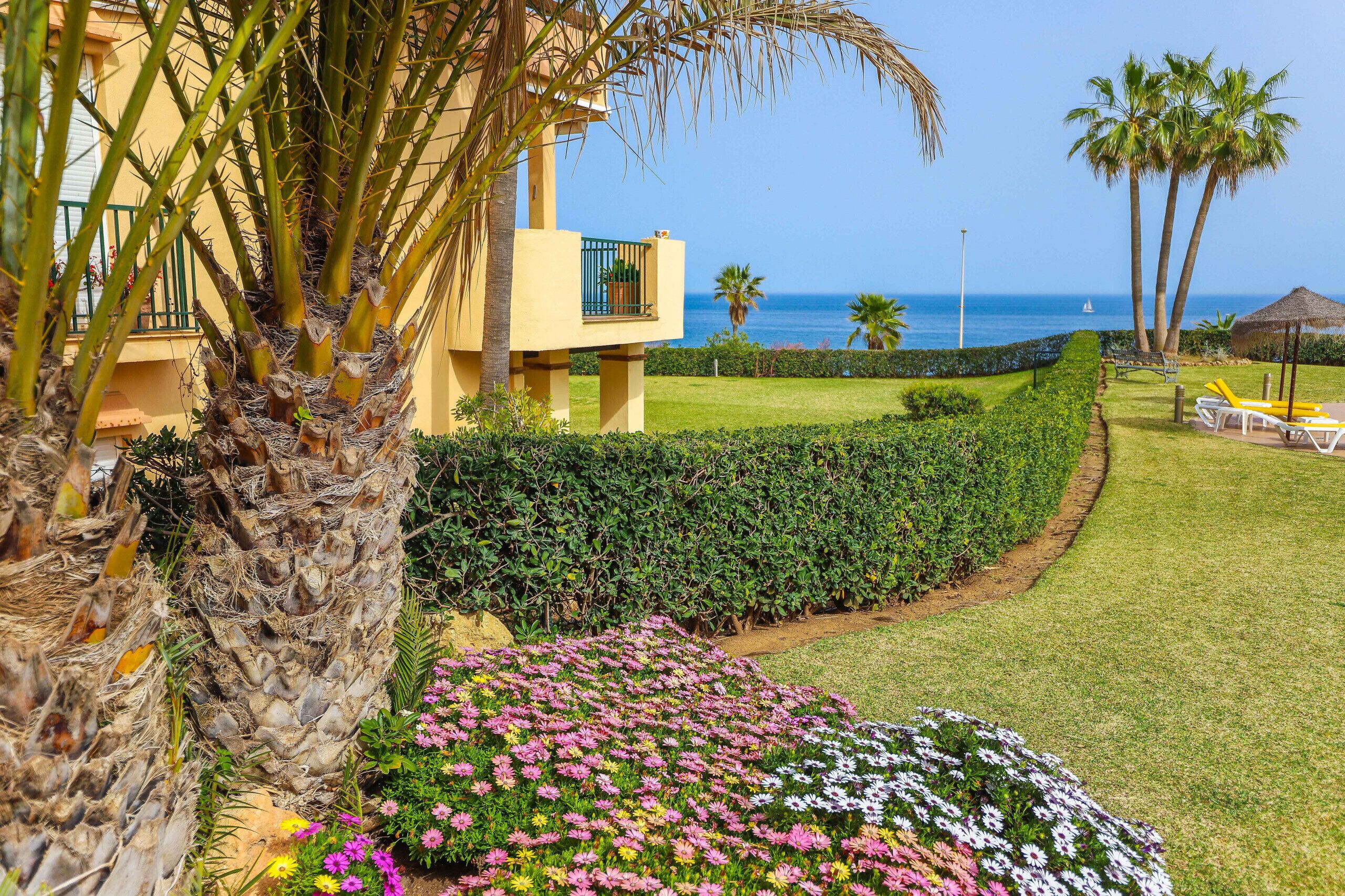 A well-maintained garden with a variety of flowers, a palm tree, and a view of the ocean.