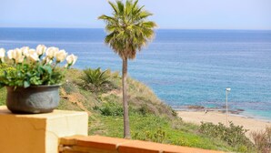 Blick auf einen Strand mit einer Palme, einem Blumentopf und einer Laterne.