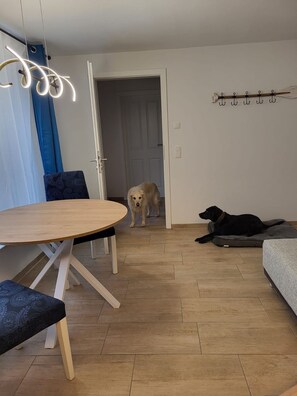 Una sala de estar moderna con una mesa redonda de madera, un sofá azul estampado y un sofá gris. Se ve a un perro golden retriever entrando por una puerta, y un perro negro descansando sobre una cama gris para mascotas.