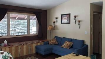 Smart TV, fireplace, DVD player