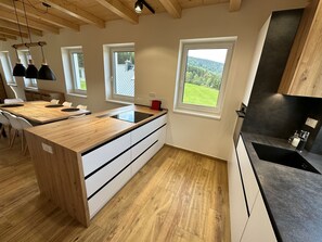 Fridge, dishwasher, toaster, highchair - 13ka Duplex with Terrace by Interhome (Smržovka)