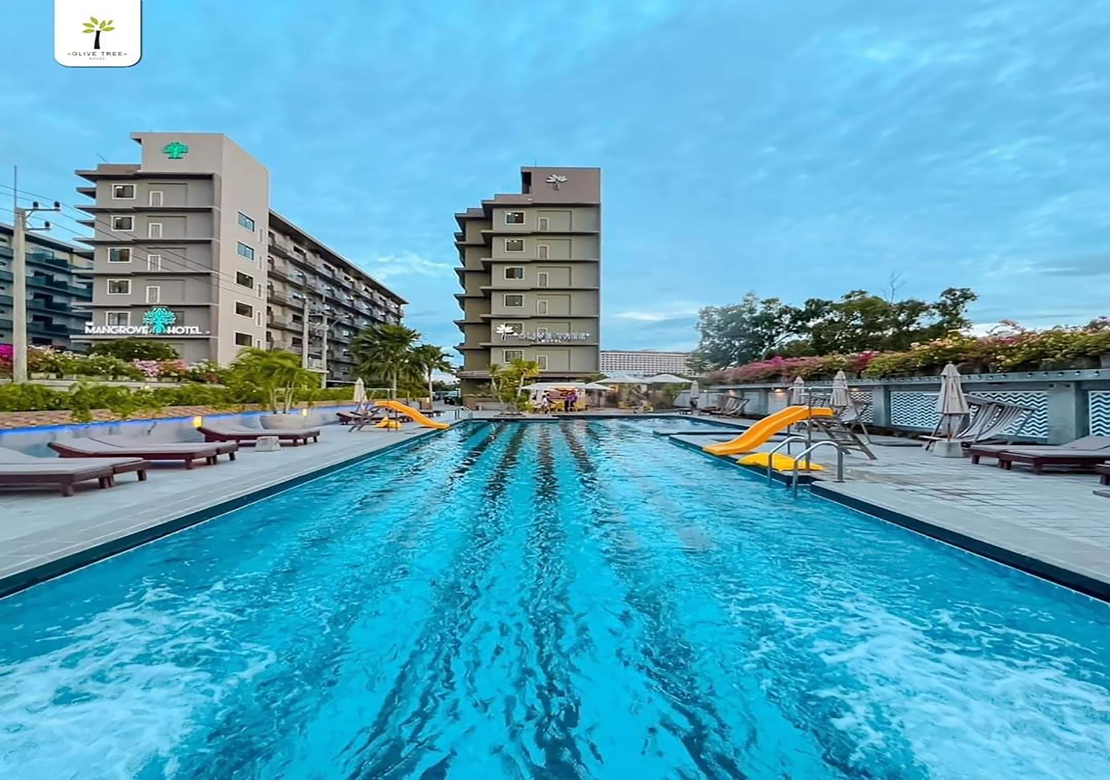 Foto - Olive Tree Hotel Pattaya