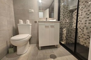 Ducha, secador de pelo y toallas