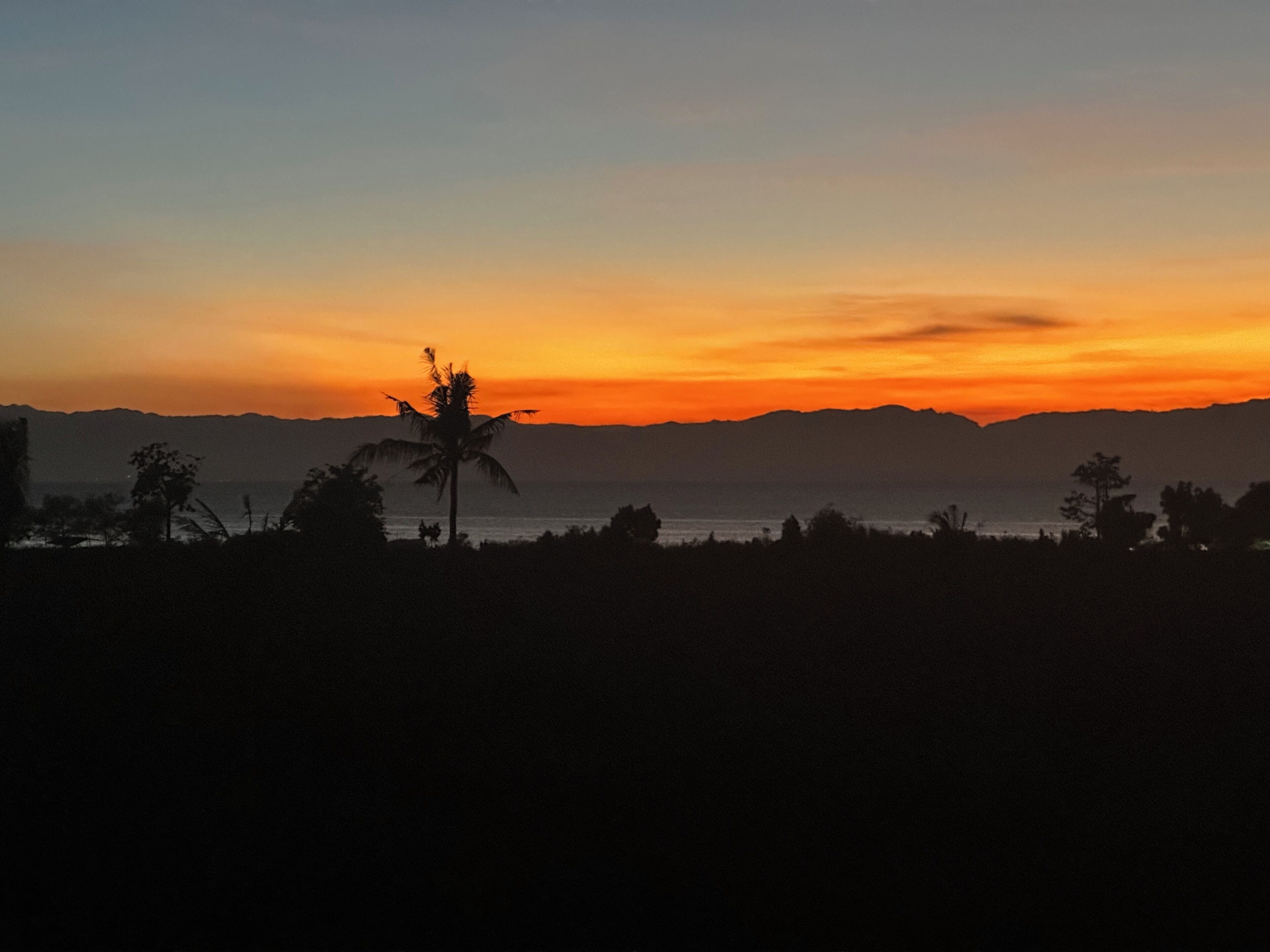 Un atardecer sobre un paisaje costero con siluetas de palmeras y montañas a lo lejos.