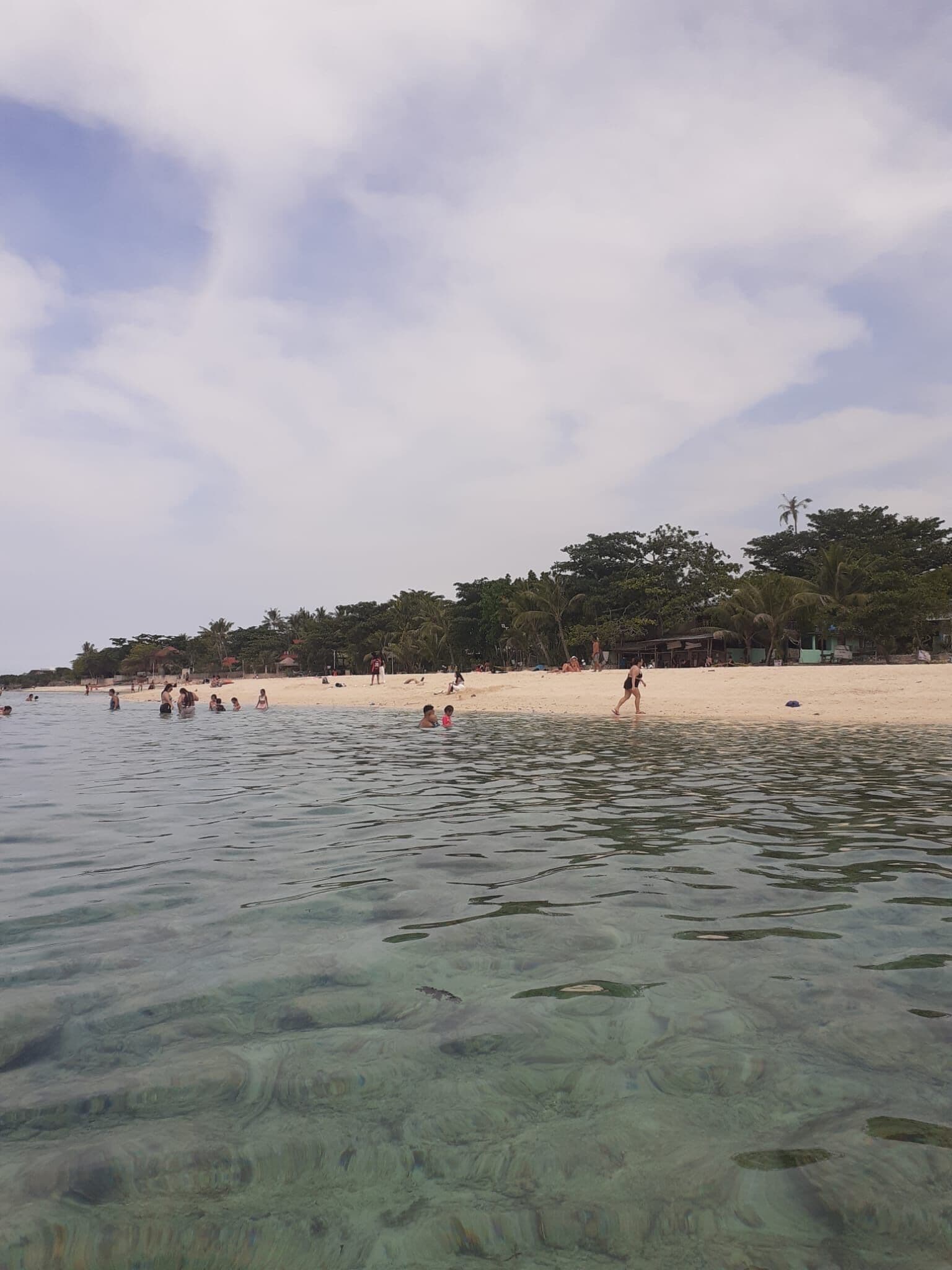 A beach with clear water, people swimming, and a sandy shore with trees in the background.