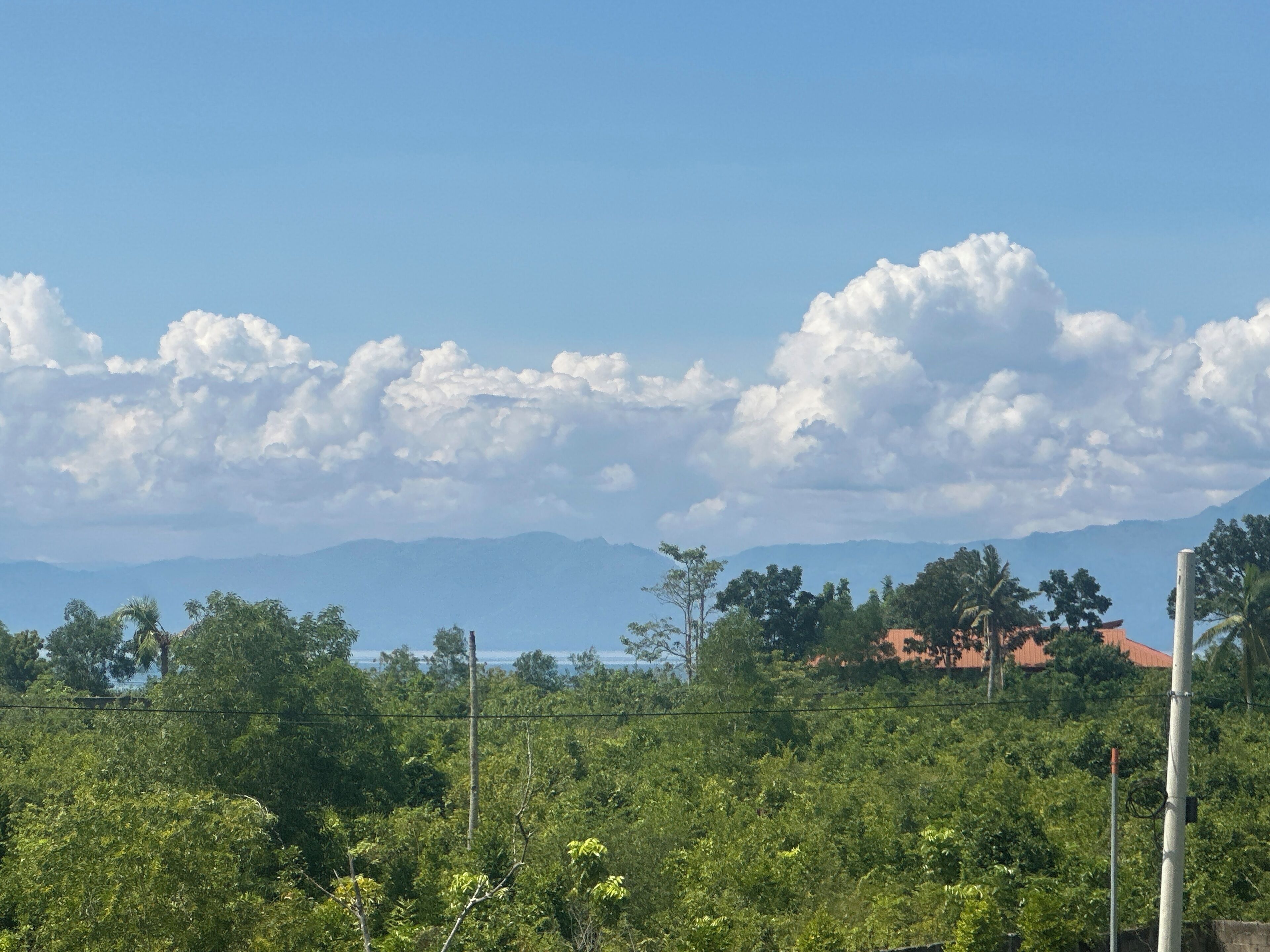 A landscape with a clear sky, mountains in the distance, and a variety of trees in the foreground.
