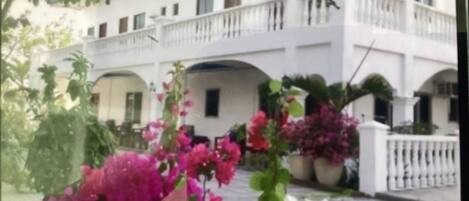 Un edificio blanco con balcón, rodeado de macetas con plantas y flores.