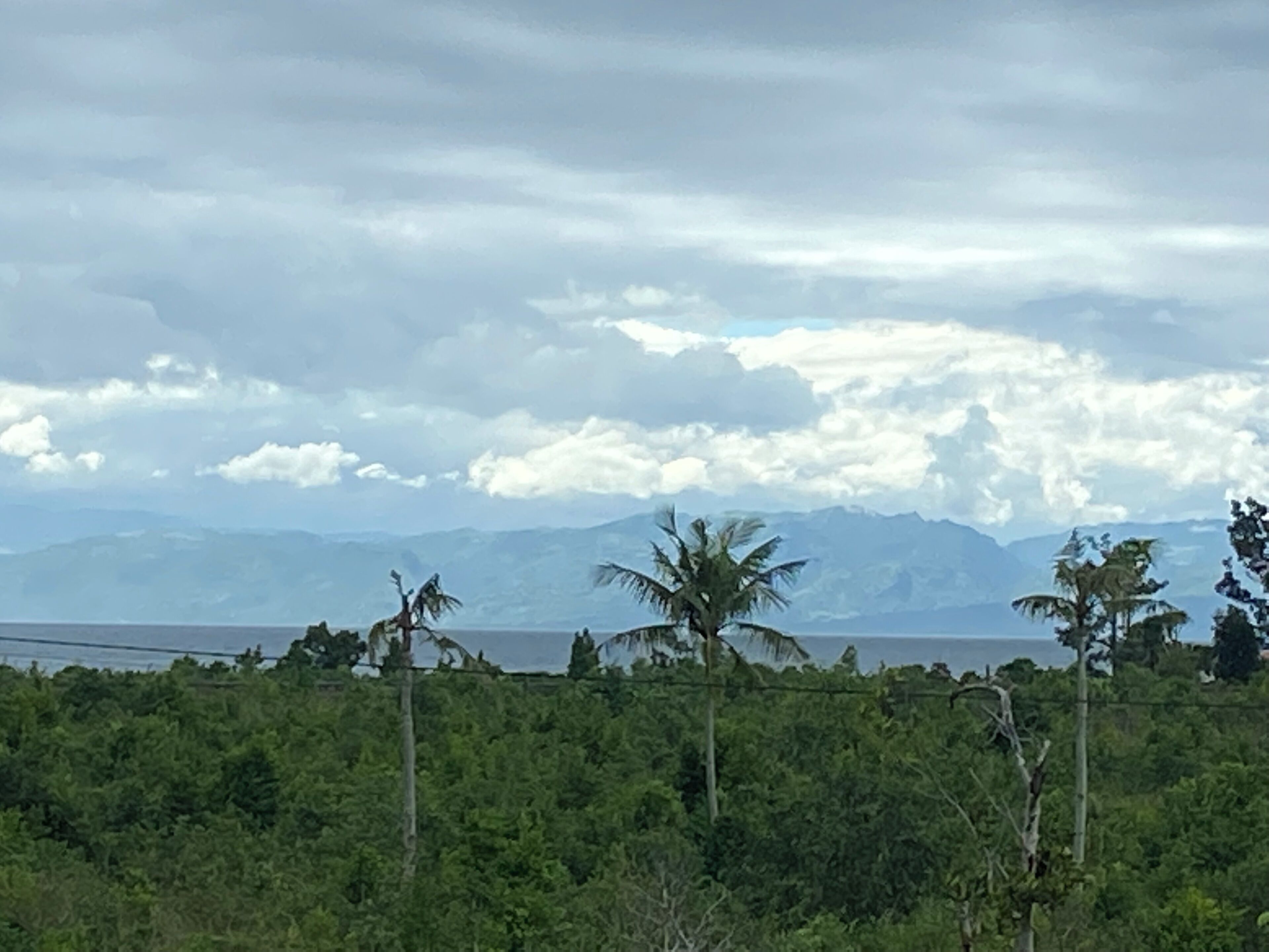 Un paisaje tropical con abundante vegetación, palmeras y montañas lejanas bajo un cielo nublado.