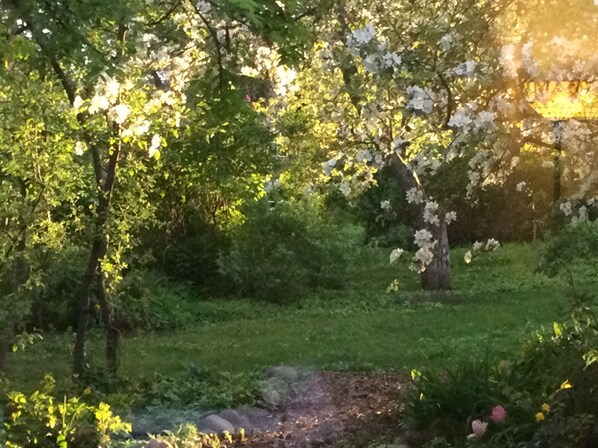 Property grounds - Hobby Farm in the City (Spokane Valley)