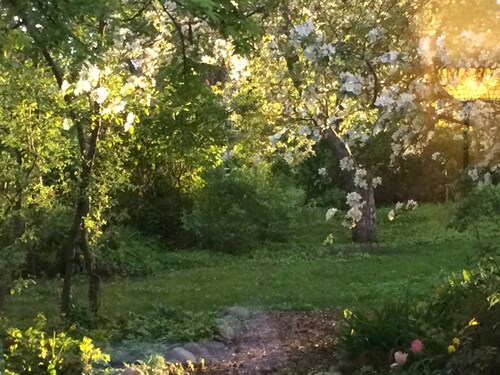 Hobby Farm in the City