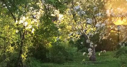 Hobby Farm in the City