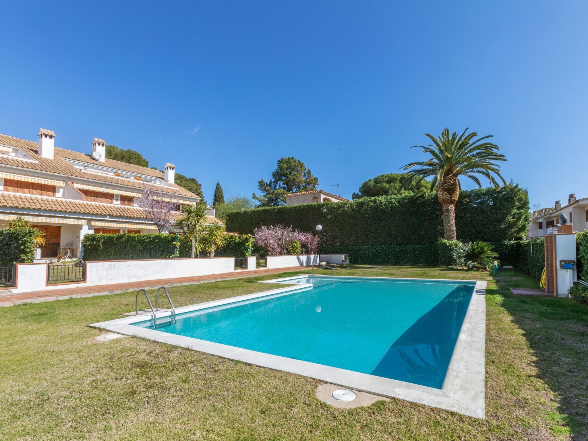 Une piscine rectangulaire avec un escalier en métal, entourée d’une pelouse et d’une haie basse.