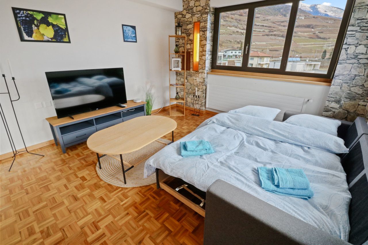 Une chambre moderne équipée d’une télévision, d’un canapé-lit, d’une petite table et offrant une vue sur l’extérieur.