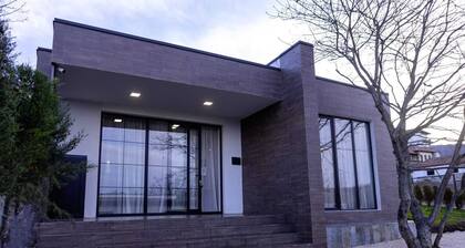 Modern villa near a forest in 5 minutes driving distance to Telavi