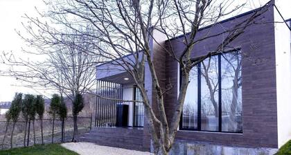 Modern villa near a forest in 5 minutes driving distance to Telavi