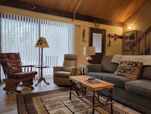 TV connectée, cheminée, lecteur de DVD