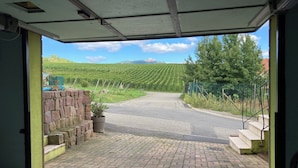 Vue depuis l’intérieur d’un bâtiment, donnant sur une route pavée qui mène à un paysage verdoyant, avec un mur de pierres et des marches.