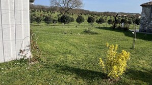 A rural landscape with a stone building, a fenced field, and a tree.