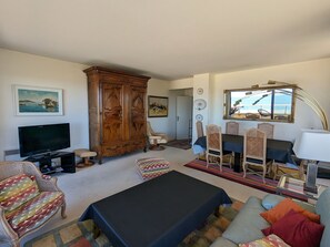 TV, DVD player - Large Apartment with Terrace, Air Conditioning, WIFI and Parking in Arcachon (Arcachon)
