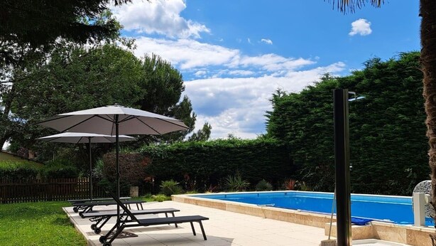 A backyard with a swimming pool, a patio with lounge chairs and an umbrella, and a tall palm tree.