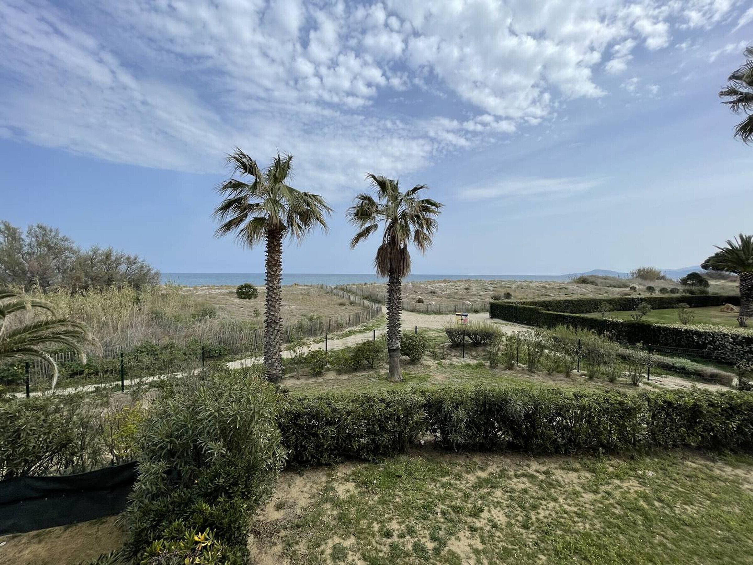 Ein angelegter Garten mit Palmen und Blick auf das Meer.