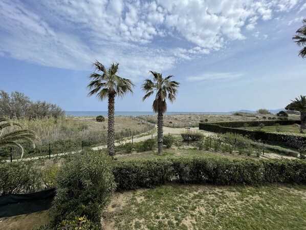 A landscaped garden with palm trees and a view of the sea.