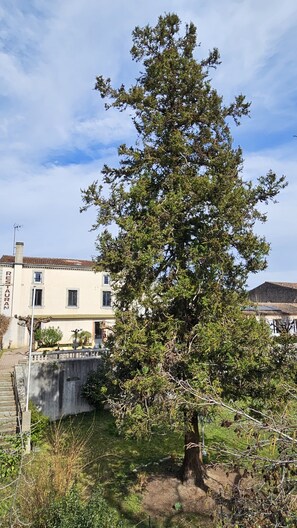 Property grounds - Grande Maison Entre Nature et Ville (Burlats)