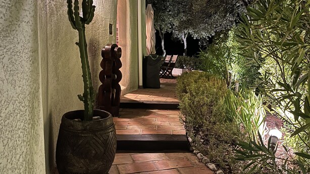 Un sendero nocturno con un cactus, una planta en maceta y un banco.