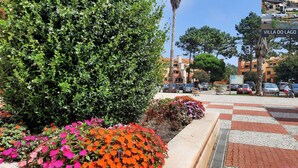 A parking area with cars, a pedestrian pathway, and a large bush with flowers.