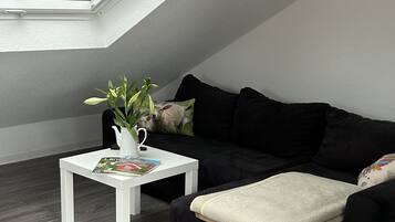 TV, fireplace, DVD player, books