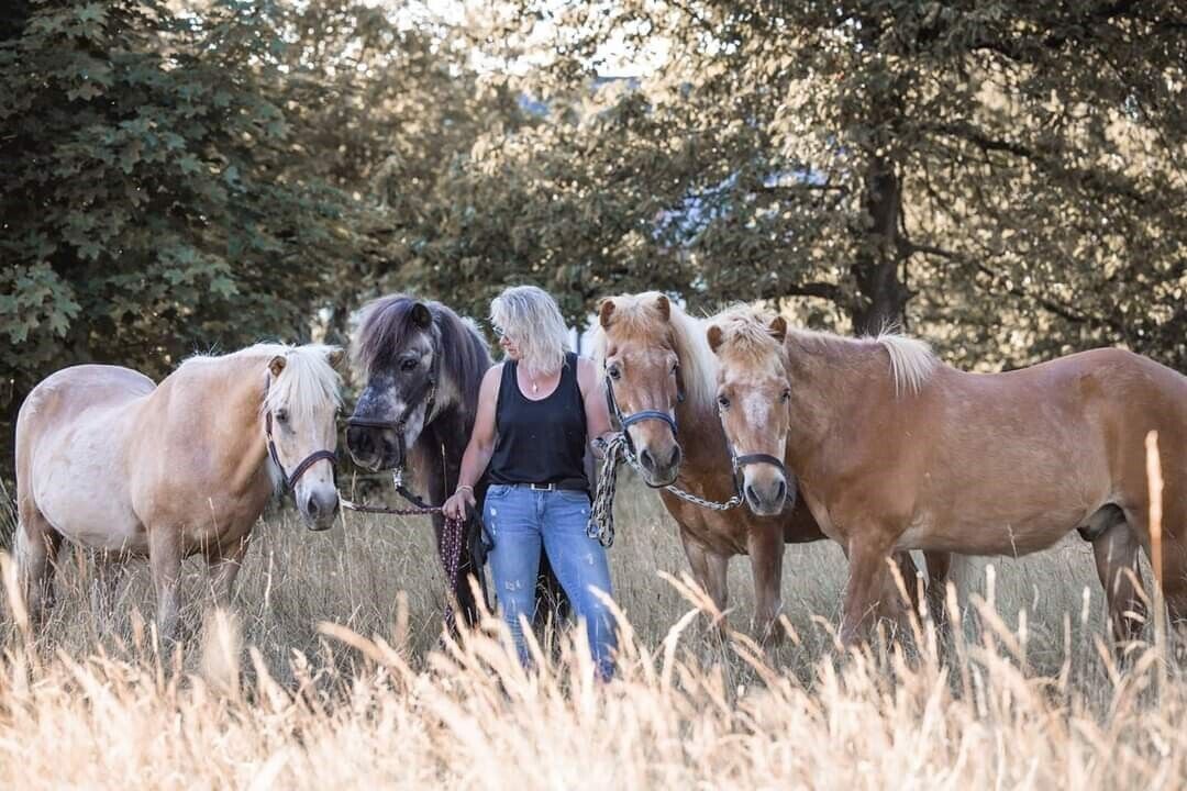 Eine Person führt eine Gruppe Pferde über eine Wiese, im Hintergrund sind Bäume zu sehen.