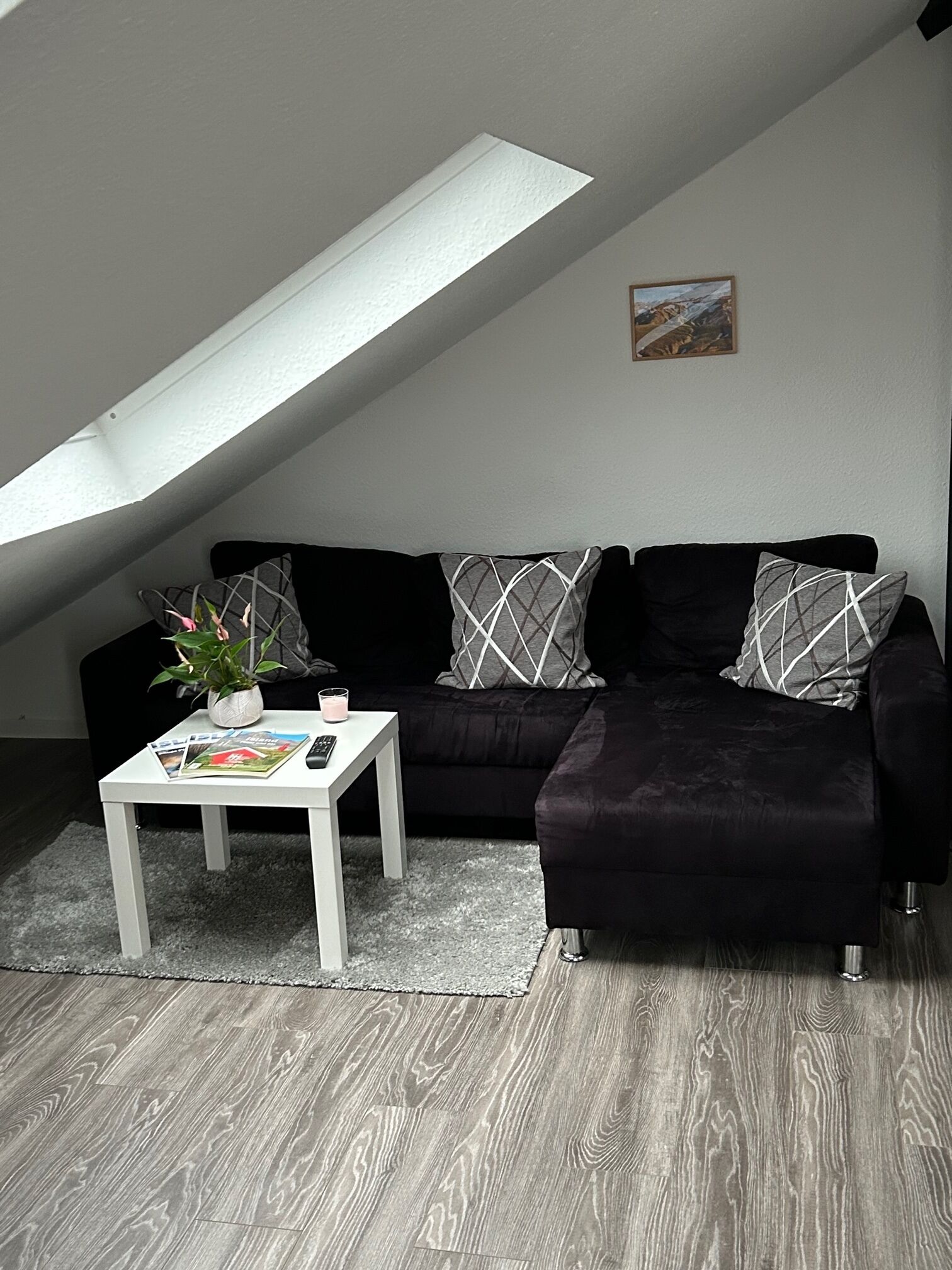 Televisie, een open haard, een dvd-speler en boeken