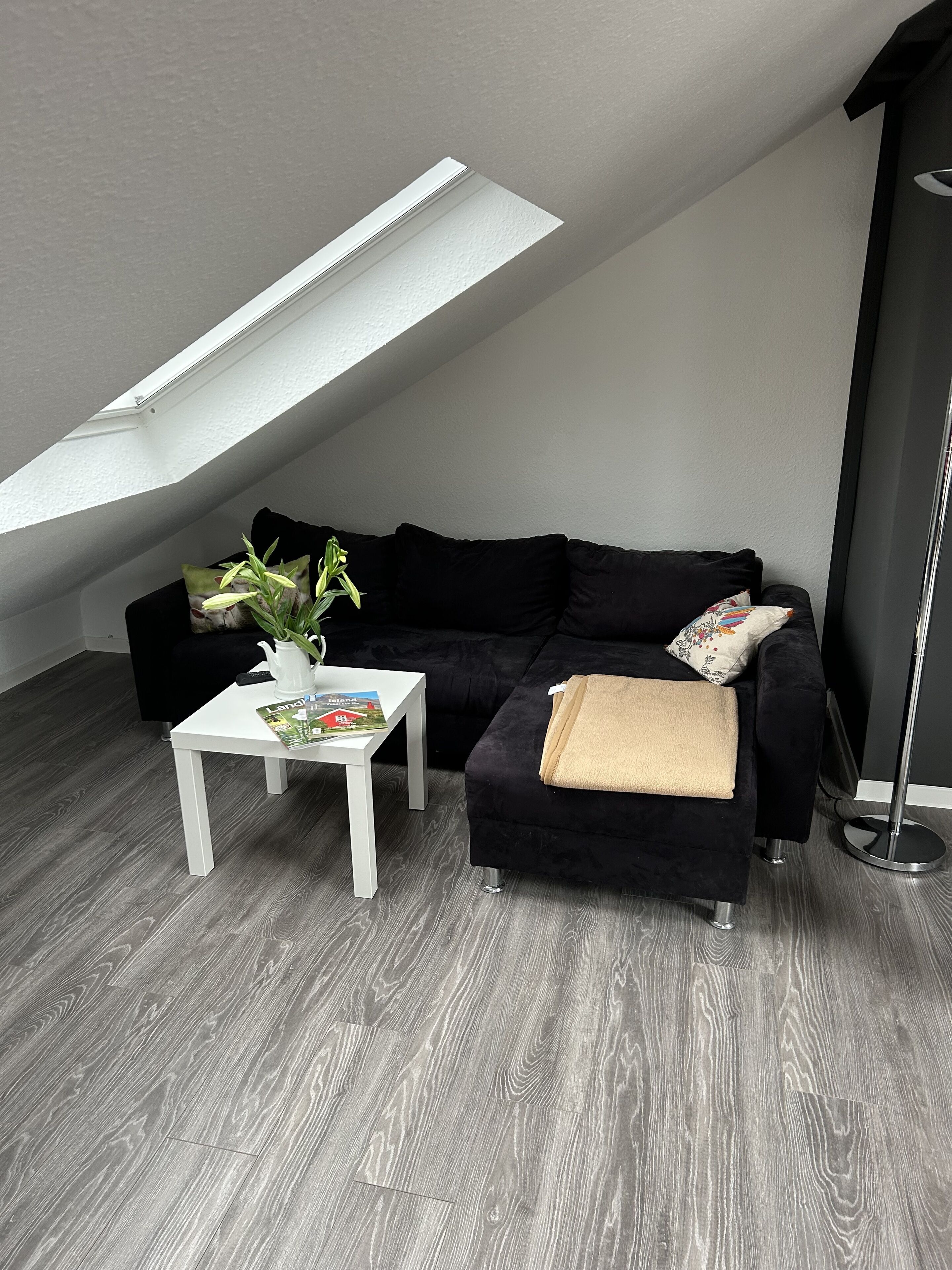 Fernseher, Kamin, DVD-Player, Bücher