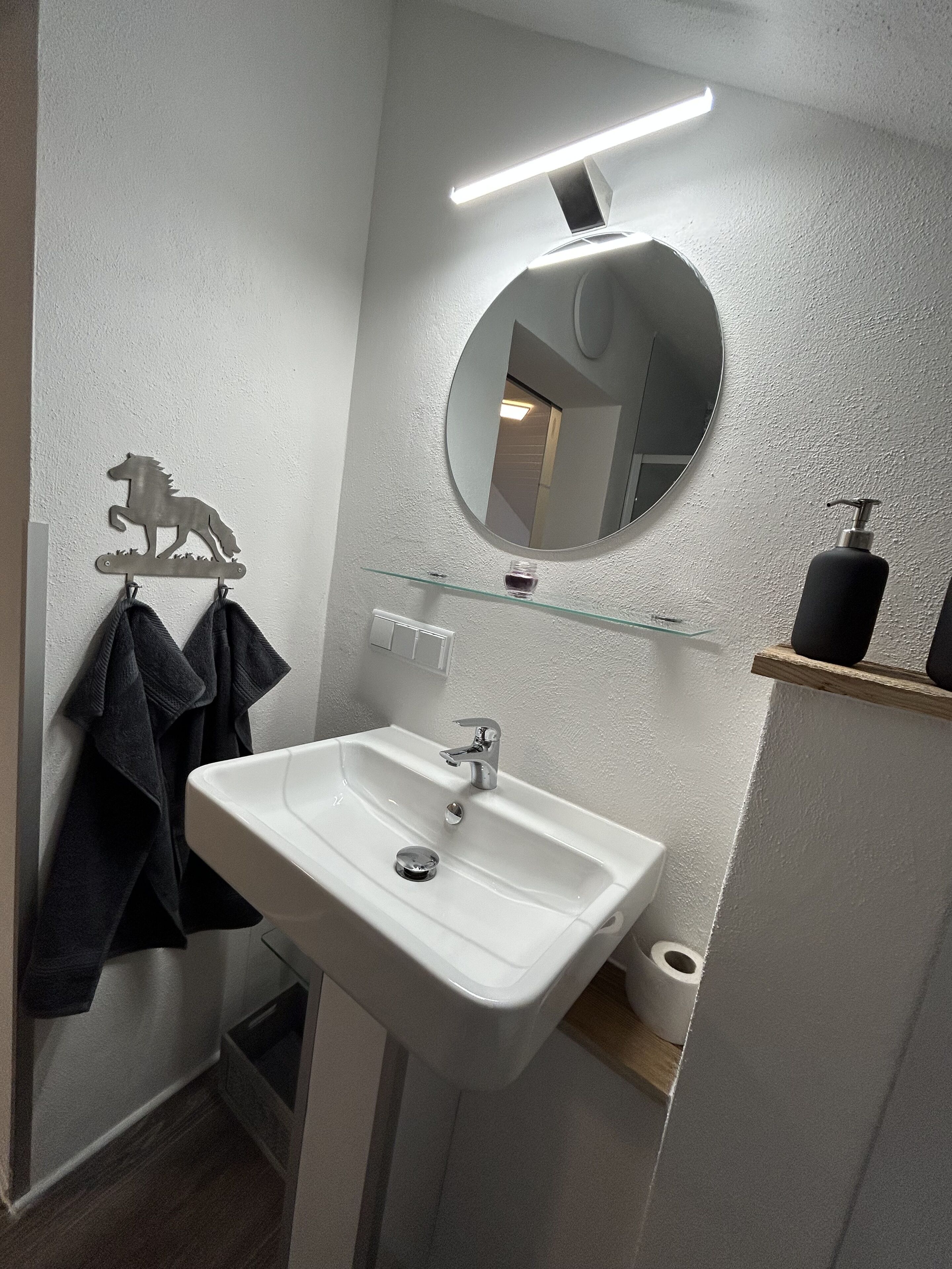 Ein Badezimmer mit einem weißen Waschbecken, einem runden Spiegel, einer Glasablage und einem Handtuchhalter mit Pferdeanhänger.