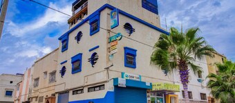 Dinosaur anza surf house