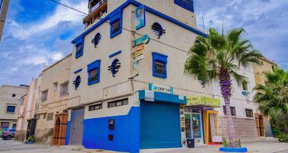 Dinosaur anza surf house