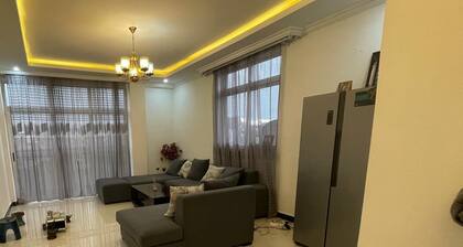 Luxury Apartment