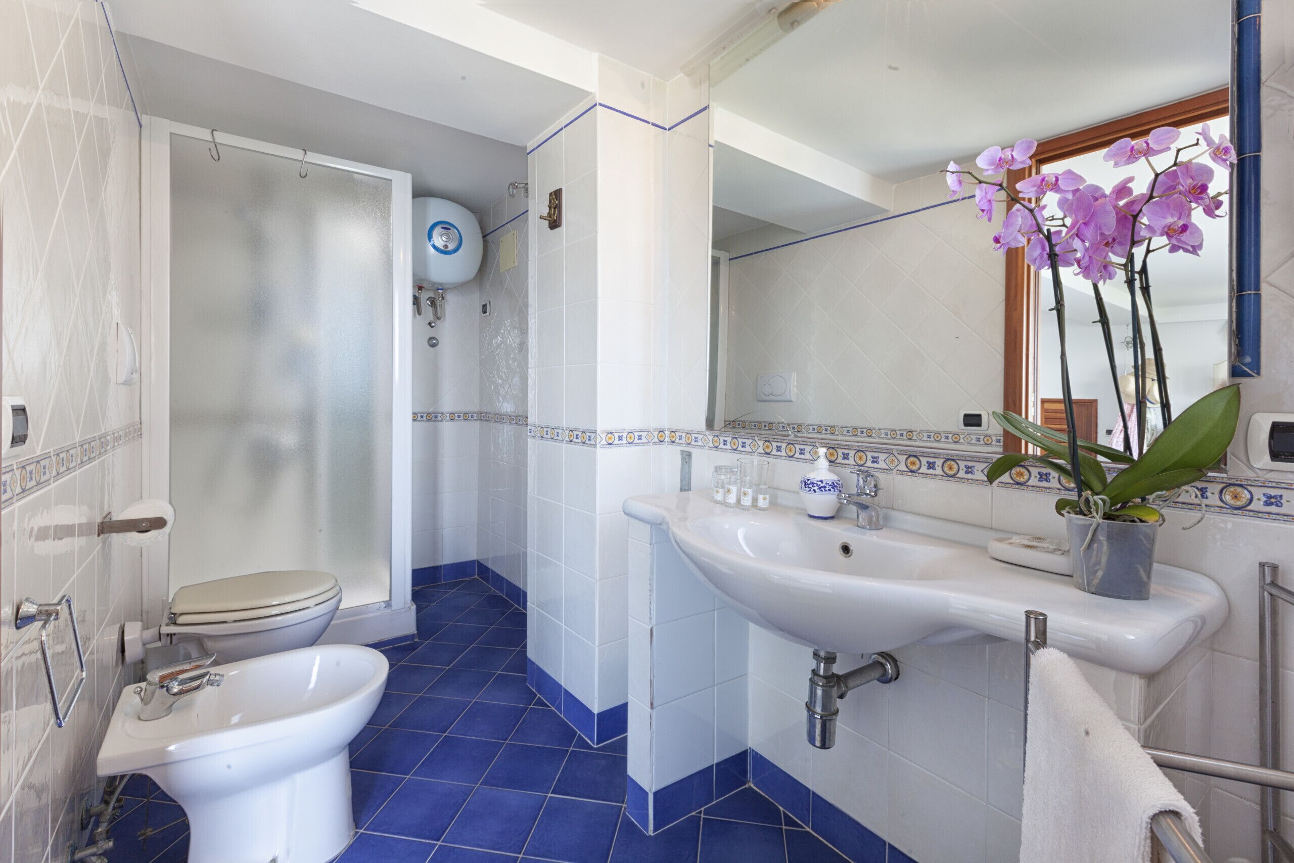 Shower, hair dryer, bidet, towels