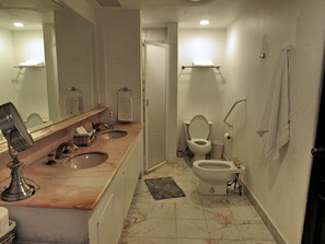 Shower, jetted bath, hair dryer, bidet