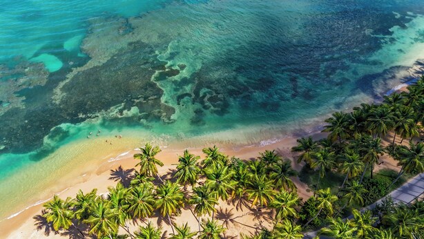 Luchtbeeld van een strand met helder turquoise water, een zandstrand en dichte palmbomen.