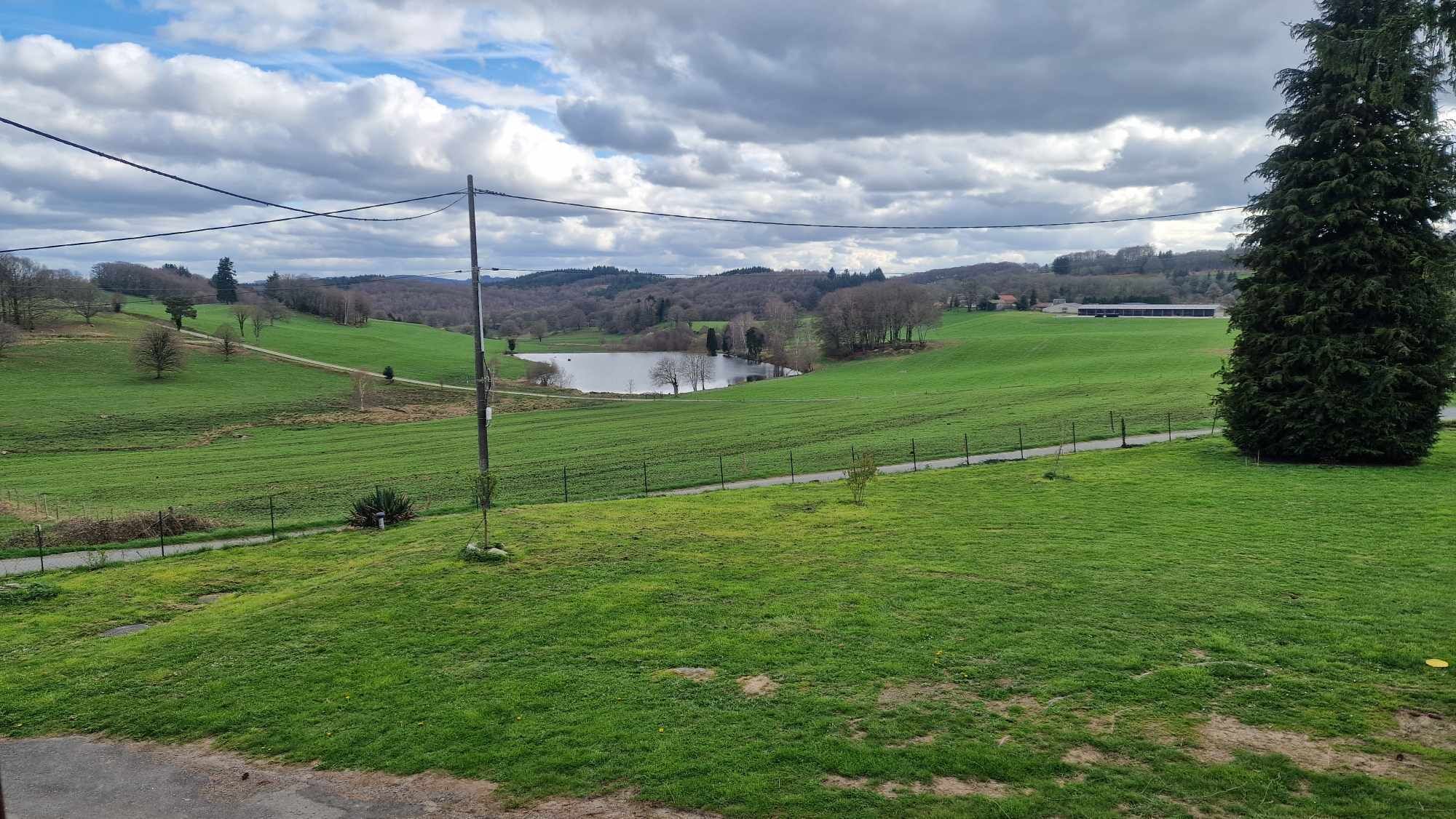 A rural landscape with a grassy field, a small body of water, and a distant building.