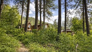 A forested area with wooden cabins, a dirt path, and dense greenery.