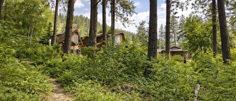 Un área boscosa con cabañas de madera, un sendero de tierra y abundante vegetación.
