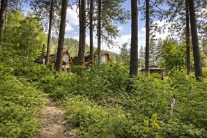 A forested area with wooden cabins, a dirt path, and dense greenery.