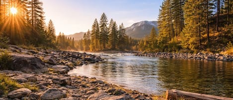 A river flowing through a rocky landscape with dense forest and mountains in the background.