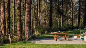 A forested area with picnic tables and a gravel path.
