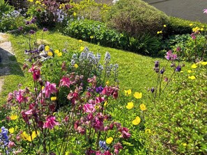 Property grounds - 2 bedroom accommodation in Carmel, near Caernarfon (Carmel, near Caernarfon)