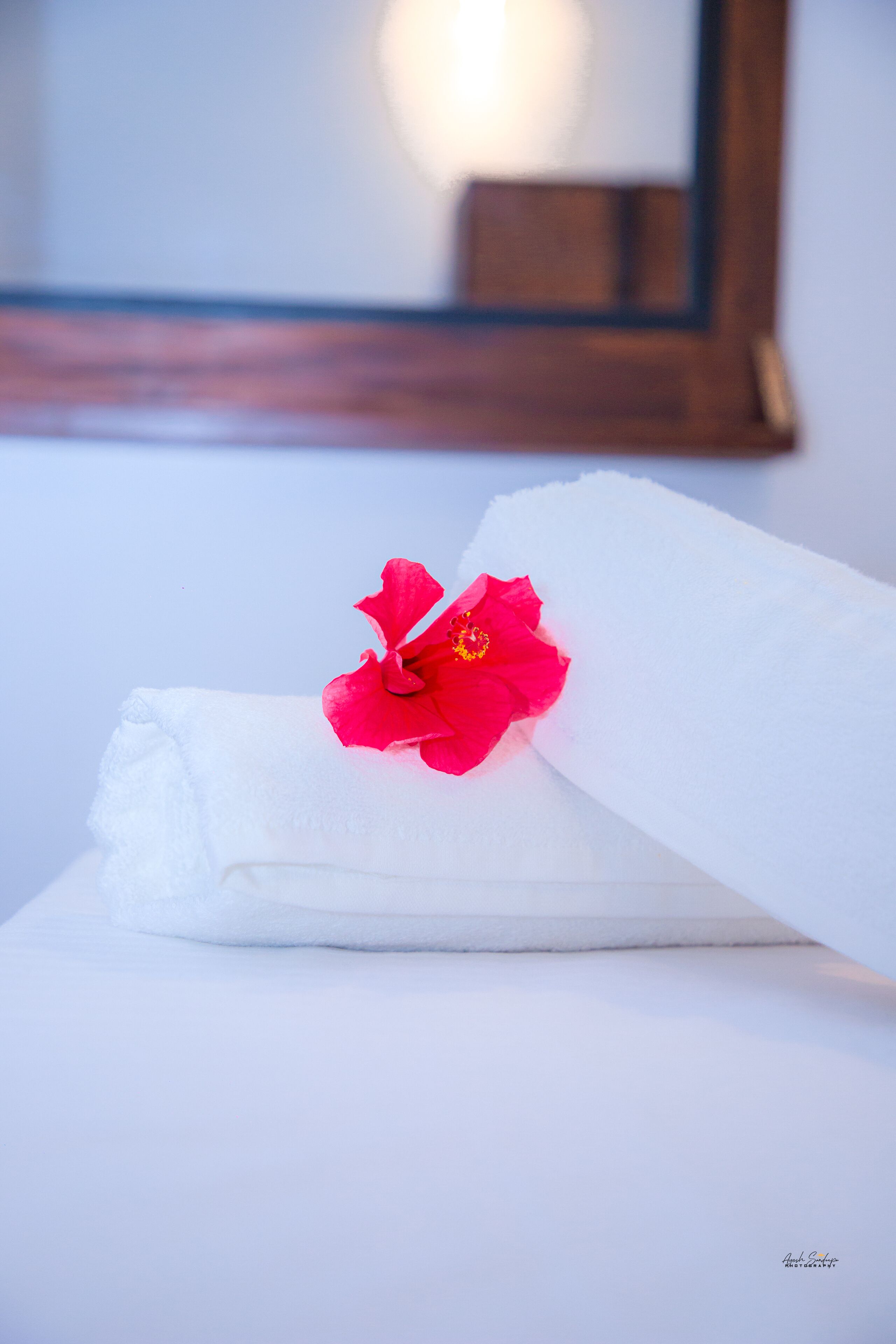 Una toalla blanca doblada cuidadosamente con una flor roja sobre una superficie blanca.